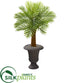 Silk Plants Direct Robellini Palm Artificial Tree - Pack of 1