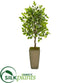 Silk Plants Direct Mini Ficus Artificial Tree - Pack of 1