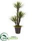 Silk Plants Direct Yucca Artificial Tree - Pack of 1