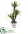 Silk Plants Direct Yucca Artificial Tree - Pack of 1