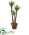 Silk Plants Direct Yucca Artificial Tree - Pack of 1