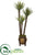 Silk Plants Direct Yucca Artificial Tree - Pack of 1