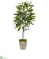 Silk Plants Direct Ficus Artificial Plant - Pack of 1