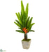 Silk Plants Direct Travelers Palm Artificial Tree - Pack of 1