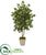 Silk Plants Direct Oak Artificial Tree - Pack of 1