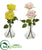 Silk Plants Direct Rose Artificial Arrangement in Glass Vase - Assorted - Pack of 2