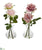 Silk Plants Direct Rose Artificial Arrangement in Glass Vase - Assorted - Pack of 2