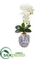 Silk Plants Direct Phalaenopsis Orchid Artificial Arrangement - White - Pack of 1