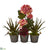 Silk Plants Direct Mum and Succulent Artificial Arrangement - Pack of 1