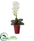 Silk Plants Direct Phalaenopsis Orchid Artificial Arrangement - White - Pack of 1