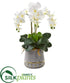 Silk Plants Direct Triple Phalaenopsis Orchid Artificial Arrangement - Pack of 1