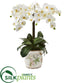 Silk Plants Direct Phalaenopsis Orchid Artificial Arrangement - Pack of 1