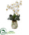 Silk Plants Direct Phalaenopsis Orchid Artificial Arrangement - Pack of 1