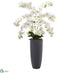 Silk Plants Direct Phalaenopsis Orchid Artificial Arrangement - Pack of 1