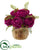 Silk Plants Direct Peony Artificial Arrangement - Orchid - Pack of 1