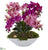 Silk Plants Direct Phalaenopsis Orchid and Succulent Artificial Arrangement - Pack of 1