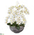 Silk Plants Direct Phalaenopsis Orchid Artificial Arrangement - Pack of 1