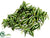 Wandering Jew/Fern Mat - Green White - Pack of 12