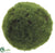 Moss Ball - Green - Pack of 6