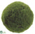 Moss Ball - Green - Pack of 12