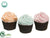 Cupcake - Mixed - Pack of 4