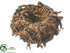 Silk Plants Direct Bird's Nest - Brown - Pack of 12