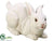 Bunny - White - Pack of 2