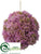 Sedum Orb - Mauve - Pack of 6