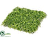 Silk Plants Direct Moss Mat - Green - Pack of 12