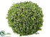 Silk Plants Direct Twig Berry Orb - Green - Pack of 4