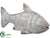 Silk Plants Direct Fish - Gray Whitewashed - Pack of 2