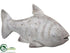 Silk Plants Direct Fish - Gray Whitewashed - Pack of 2