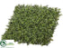 Silk Plants Direct Boxwood Mat - Green - Pack of 3