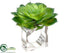 Silk Plants Direct Echeveria Napkin Ring - Green Clear - Pack of 6