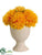 Mum - Yellow - Pack of 12