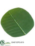 Silk Plants Direct Banana Leaf Coaster - Green - Pack of 12