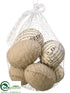 Silk Plants Direct Burlap Egg - Brown - Pack of 12