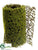 Moss Mesh Mat - Green - Pack of 6