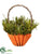 Carrot Basket - Orange Green - Pack of 6