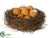 Birdnest - Brown - Pack of 2