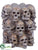 Skull Container - Brown Antique - Pack of 1