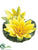 Floating Lotus - Yellow - Pack of 12