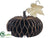 Pumpkin - Black Gold - Pack of 2