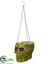 Silk Plants Direct Skull Planter - Gray Moss - Pack of 6