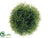 Grass Ball - Green - Pack of 24