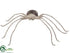 Silk Plants Direct Spider - Black Beige - Pack of 2