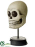 Silk Plants Direct Skull - Beige Black - Pack of 2