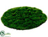 Silk Plants Direct Moss Sheet - Green - Pack of 12