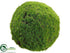 Silk Plants Direct Moss Ball - Green - Pack of 4