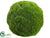 Moss Ball - Green - Pack of 4